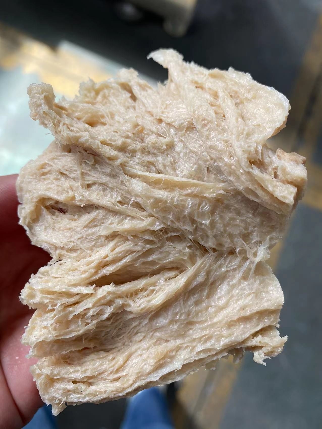 山東賽百諾公司舉辦“拉絲蛋白產(chǎn)線推介會”